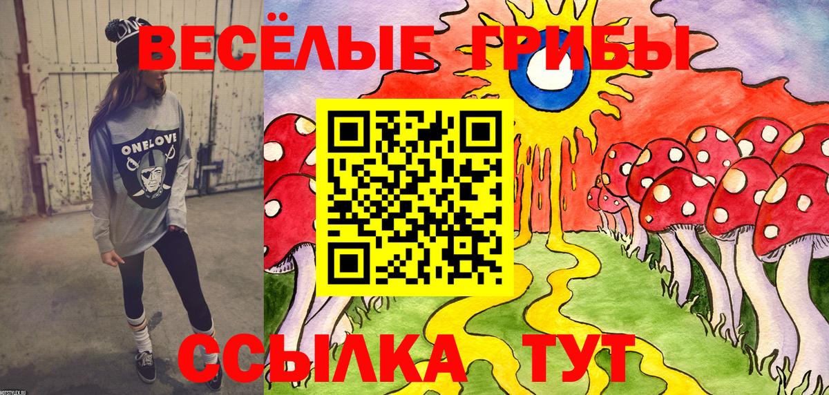Волгоград  Псилоцибиновые грибы Psilocybine cubensis  наркошоп  Вход с VPN 