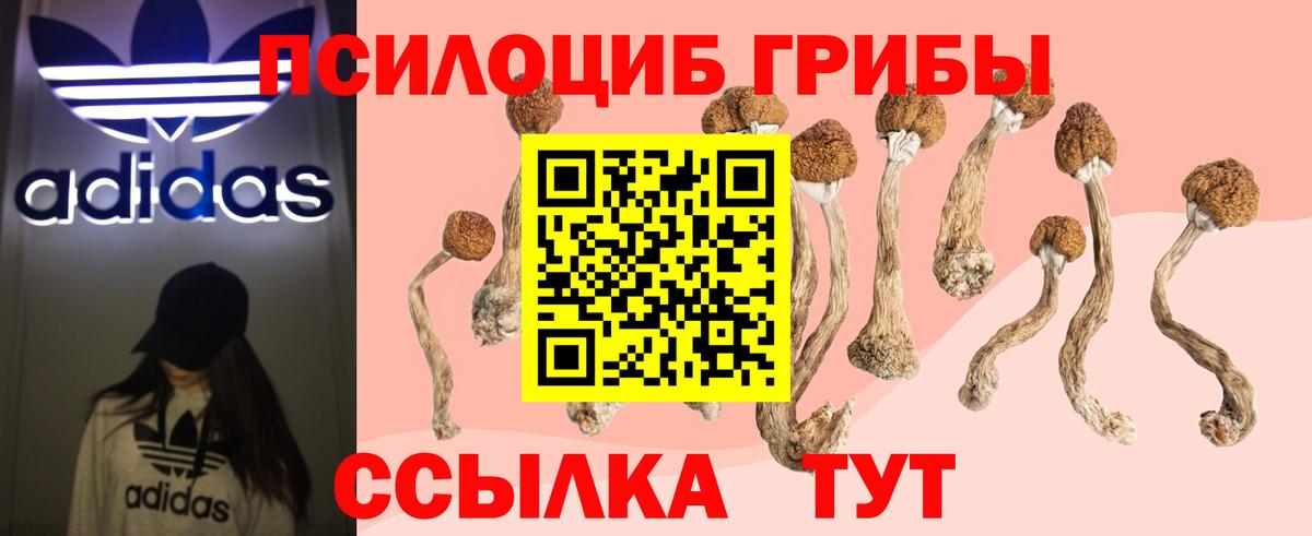 Псилоцибиновые грибы ЛСД Волгоград